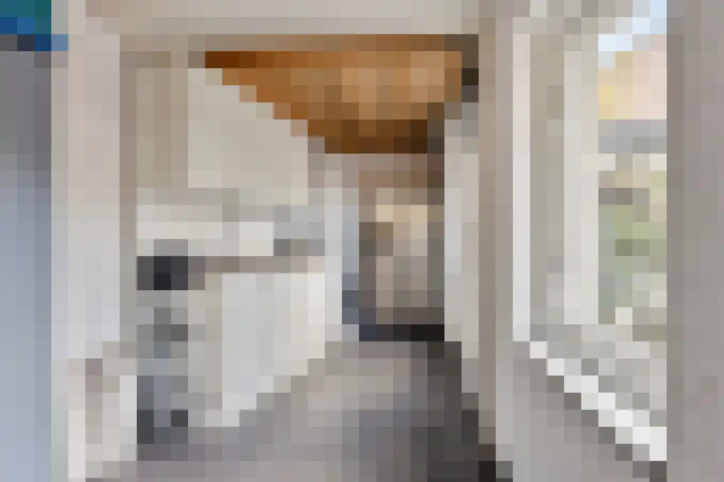 de Korenaar 15 Oirschot thumbnail 27