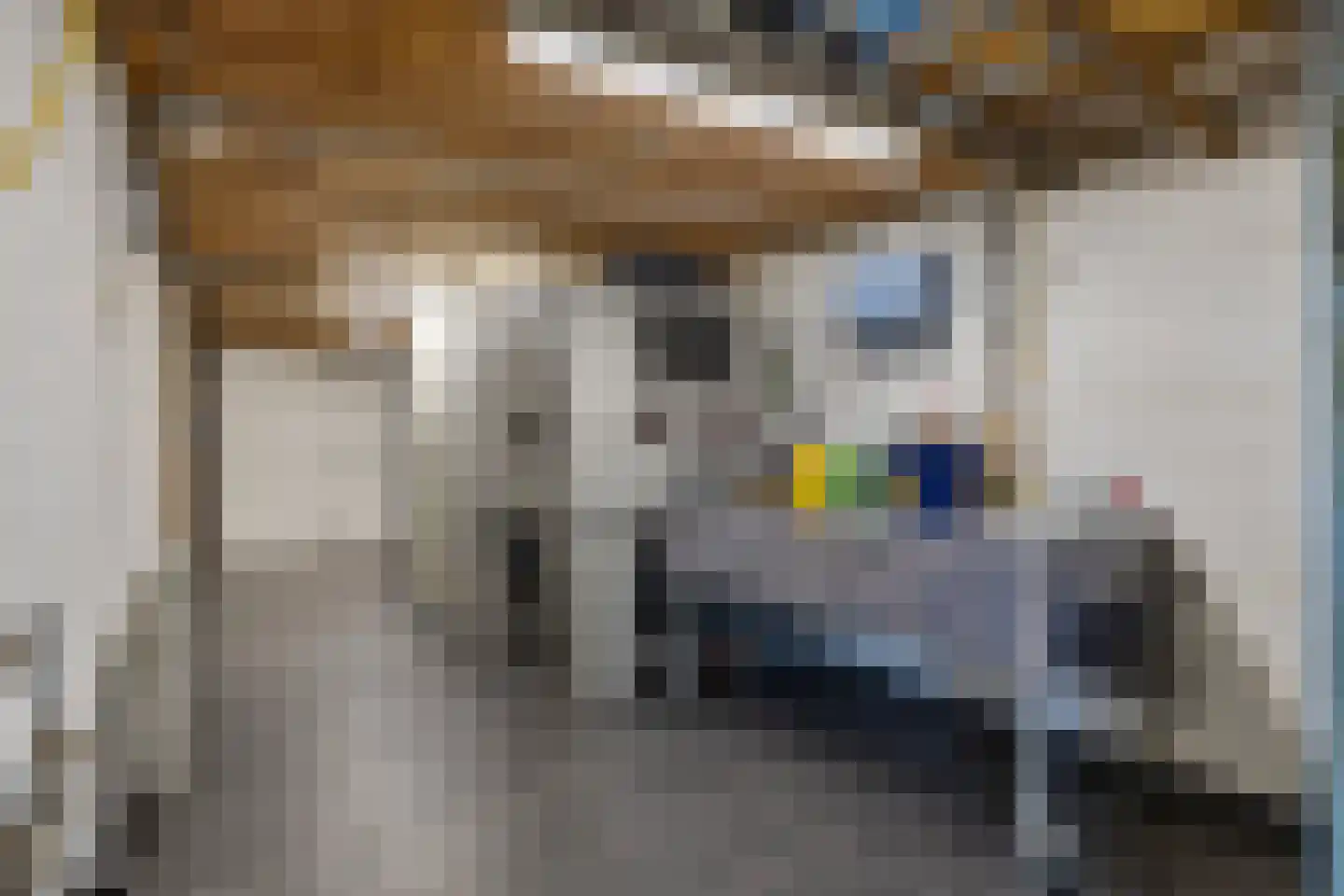 de Korenaar 15 Oirschot thumbnail 29