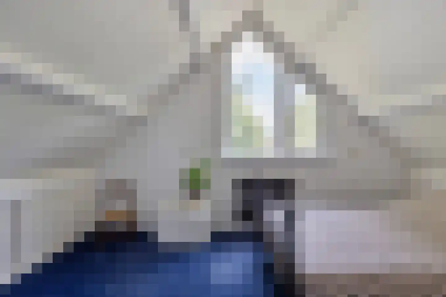 de Korenaar 15 Oirschot thumbnail 45