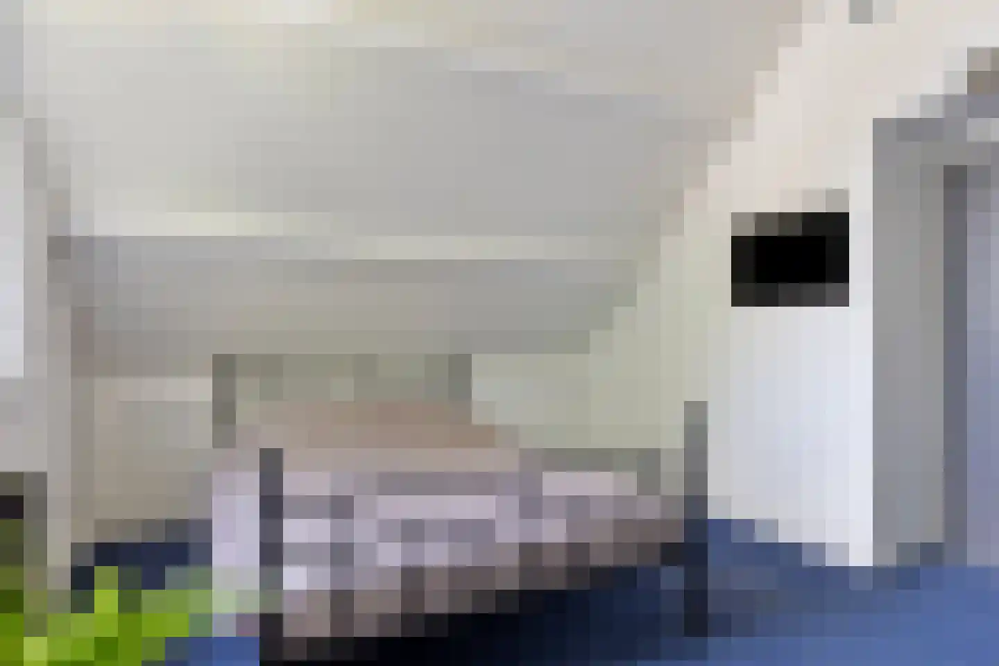 de Korenaar 15 Oirschot thumbnail 46