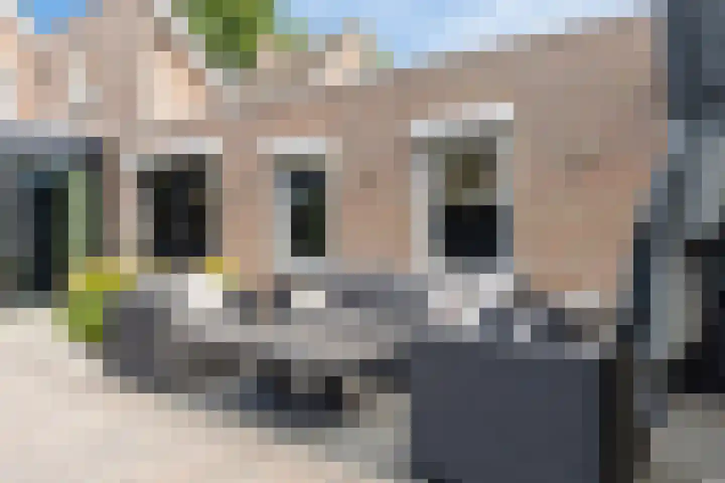de Korenaar 15 Oirschot thumbnail 53