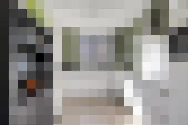 De Korenaar 20 Zeewolde thumbnail 12