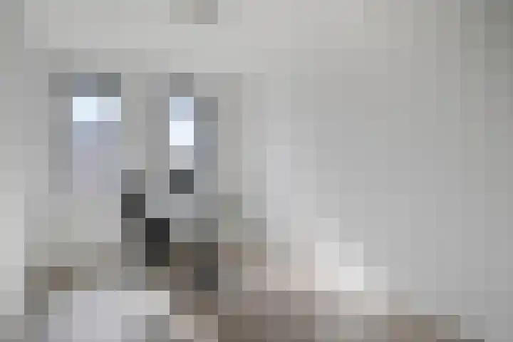 De Korenaar 20 Zeewolde thumbnail 21