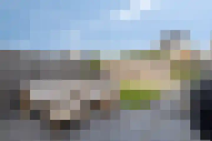 De Korenaar 20 Zeewolde thumbnail 25