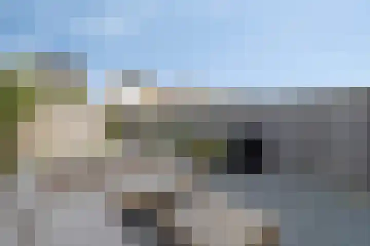 De Korenaar 20 Zeewolde thumbnail 26