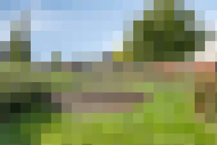 De Korenaar 20 Zeewolde thumbnail 29