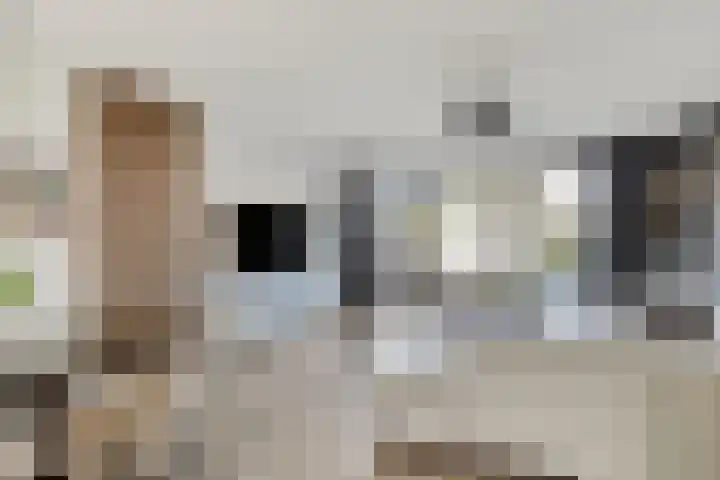 De Korenaar 20 Zeewolde thumbnail 7