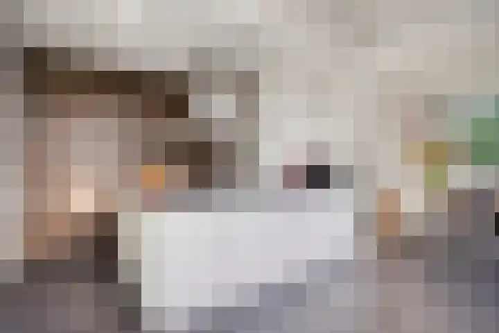 de Korenaar 21 Oirschot thumbnail 17