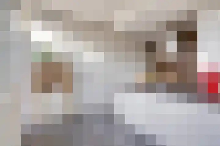 de Korenaar 21 Oirschot thumbnail 20