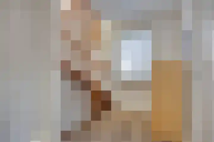 de Korenaar 21 Oirschot thumbnail 23