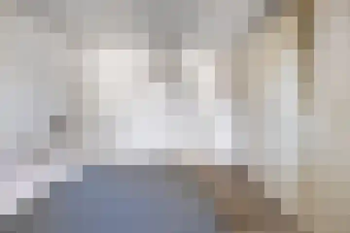 de Korenaar 21 Oirschot thumbnail 25