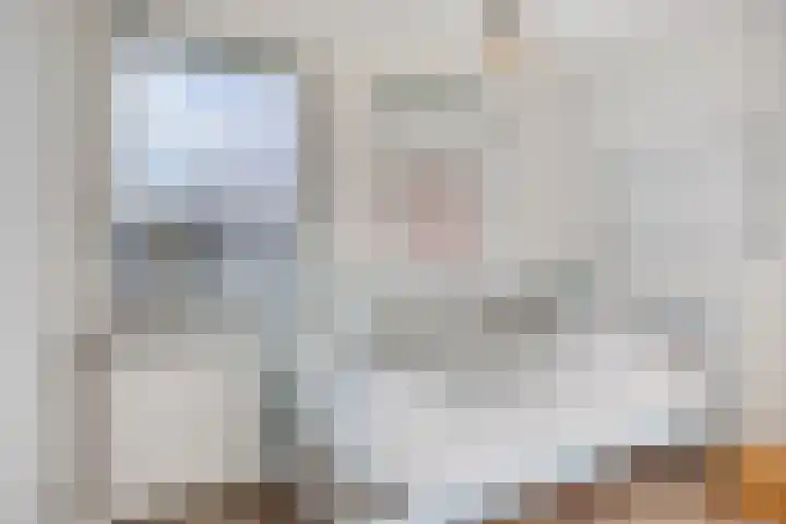 de Korenaar 21 Oirschot thumbnail 28