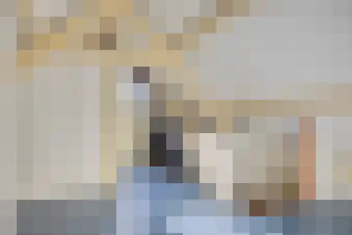 de Korenaar 21 Oirschot thumbnail 32