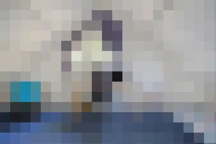 de Korenaar 21 Oirschot thumbnail 34