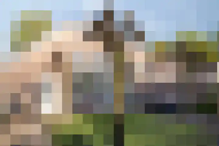 de Korenaar 21 Oirschot thumbnail 37