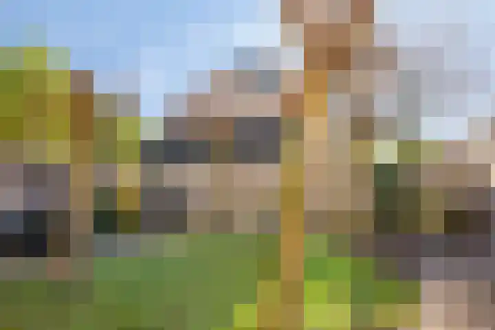 de Korenaar 21 Oirschot thumbnail 38