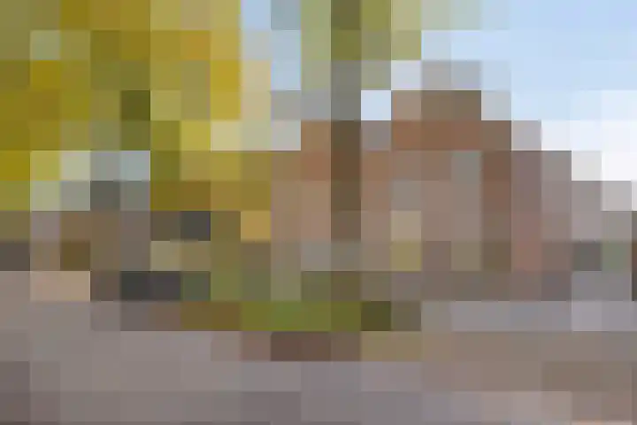 de Korenaar 21 Oirschot thumbnail 39