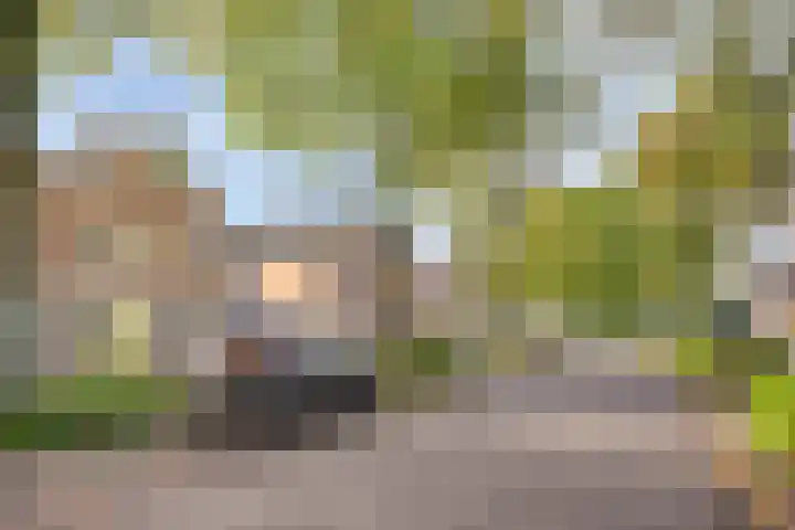 de Korenaar 21 Oirschot thumbnail 40