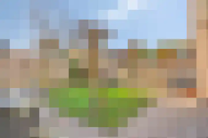 de Korenaar 21 Oirschot thumbnail 5