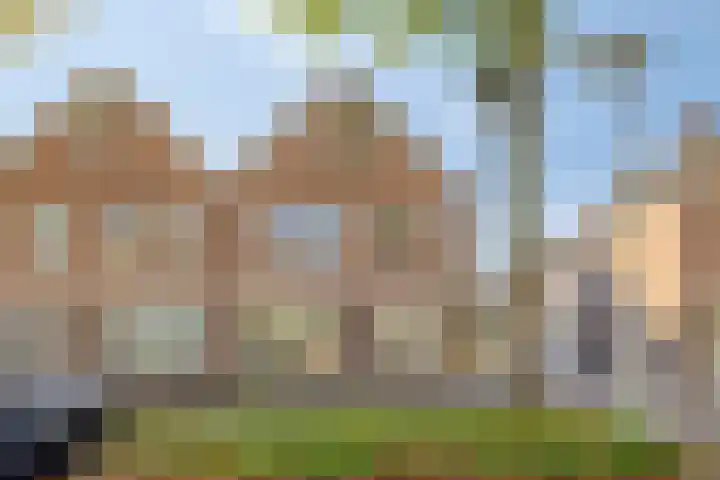 de Korenaar 21 Oirschot thumbnail 6