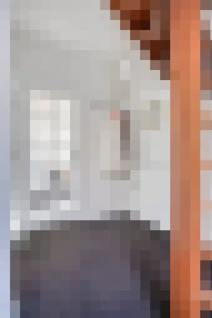 de Korenaar 21 Oirschot thumbnail 8