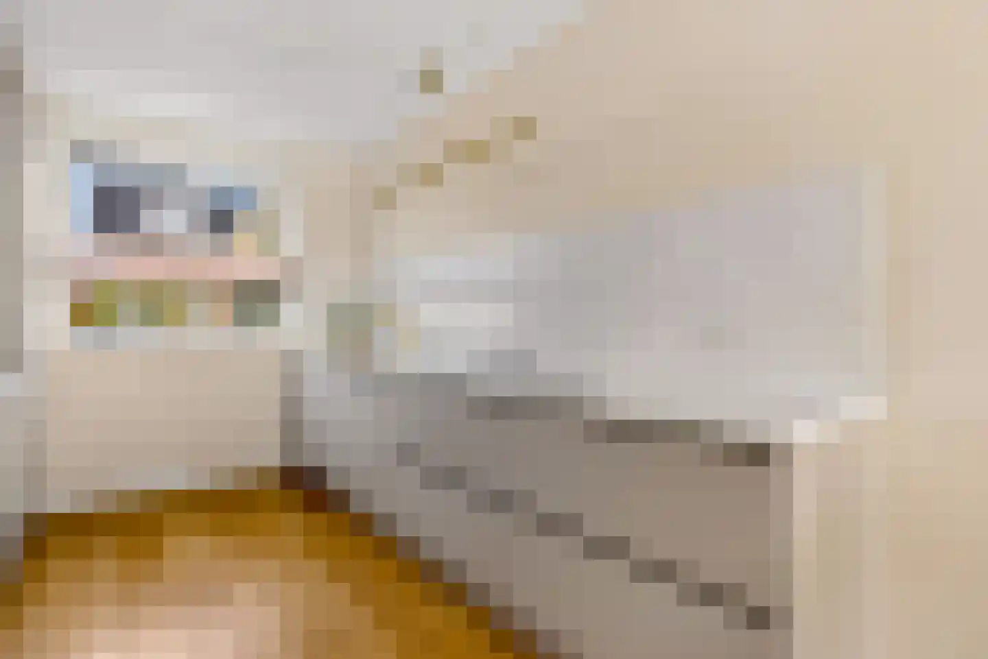 De Korenaar 5 Zeewolde thumbnail 20