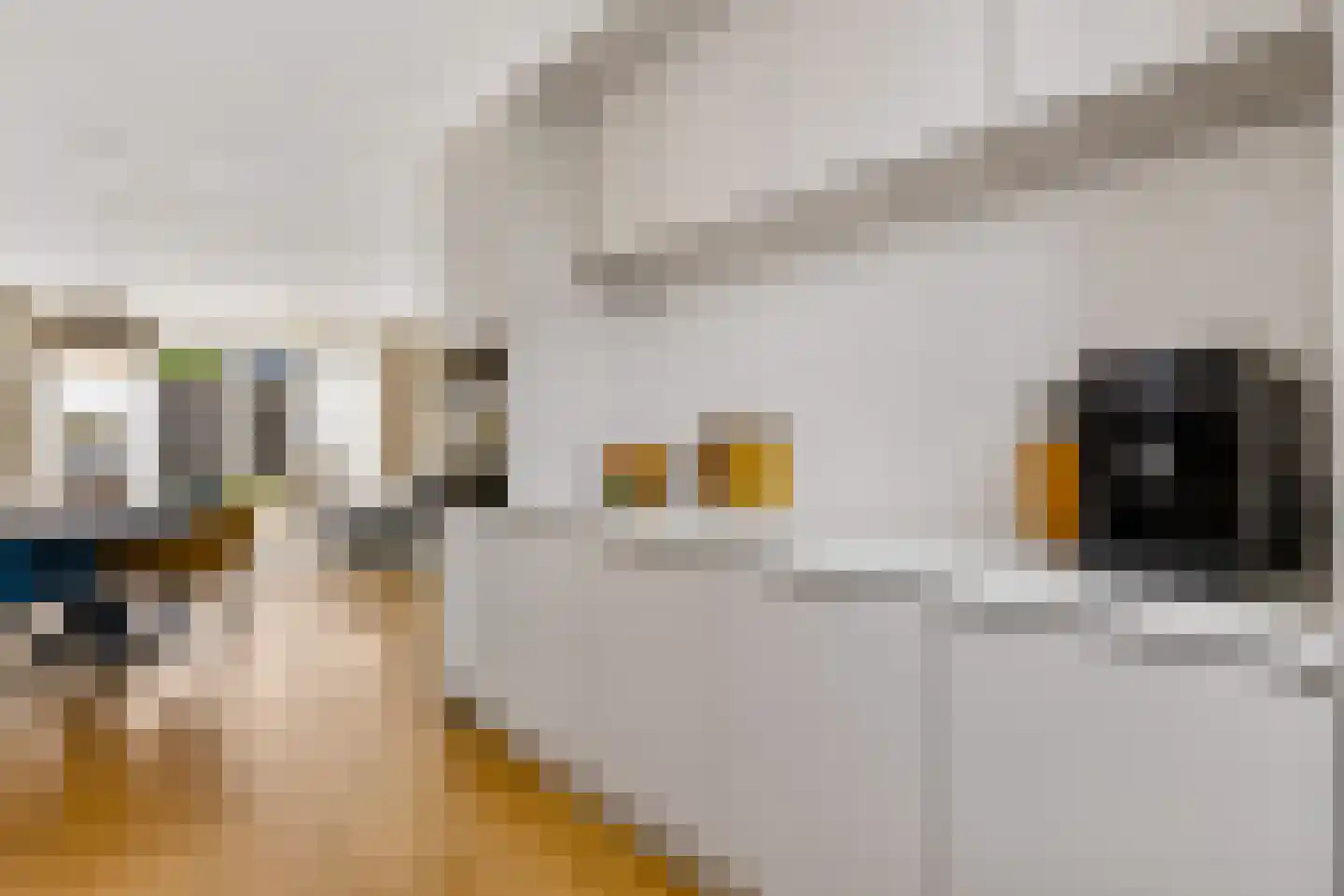 De Korenaar 5 Zeewolde thumbnail 21