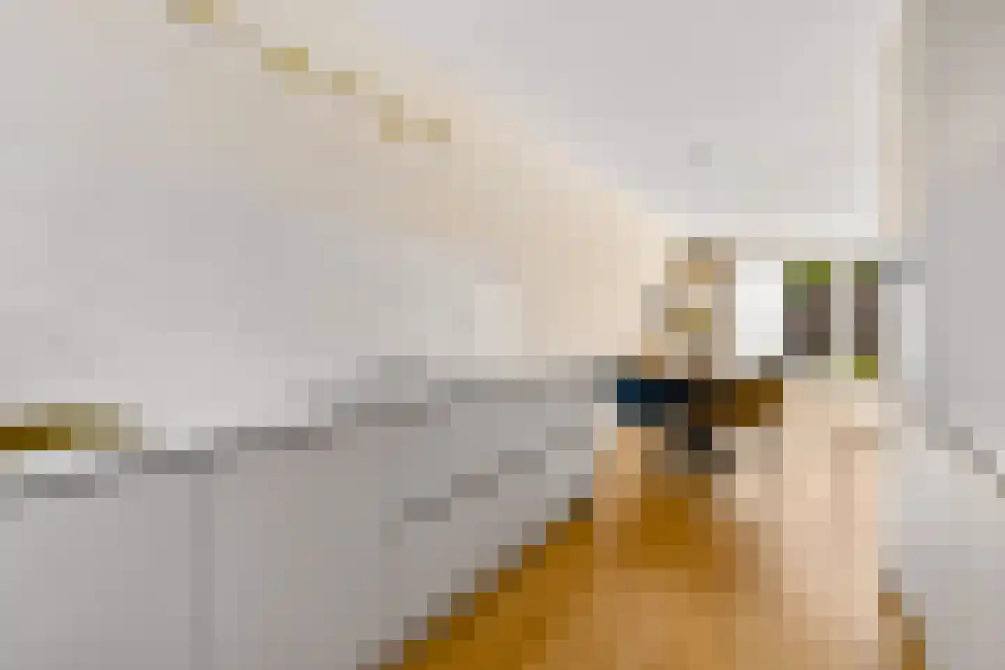 De Korenaar 5 Zeewolde thumbnail 22