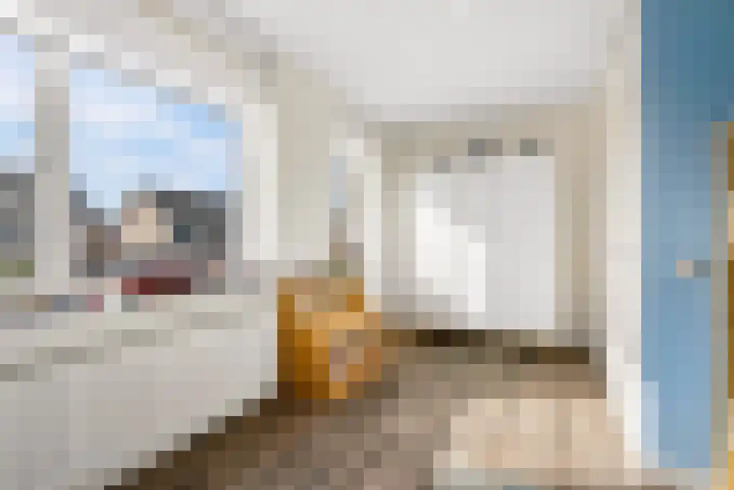 De Korenaar 5 Zeewolde thumbnail 28
