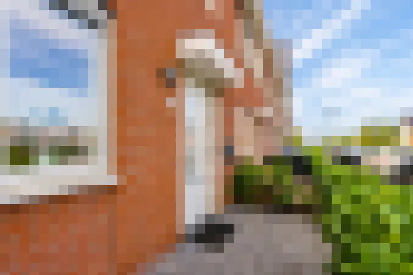 De Korenaar 5 Zeewolde thumbnail 6