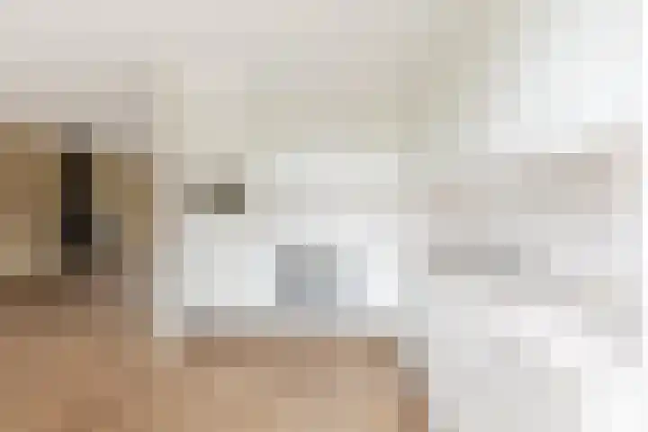 de Korenaar 77 Oirschot thumbnail 11
