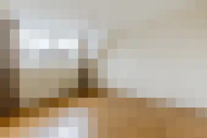 de Korenaar 77 Oirschot thumbnail 14