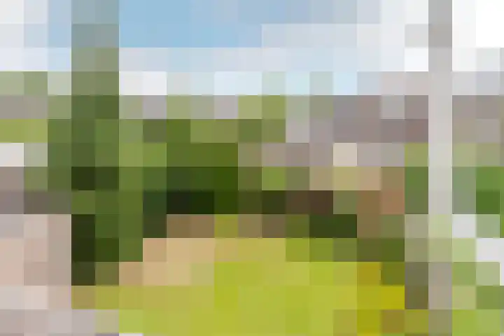 de Korenaar 77 Oirschot thumbnail 15