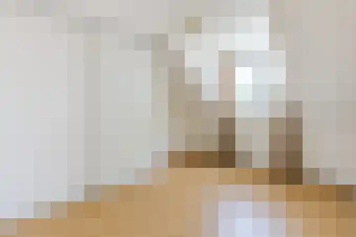 de Korenaar 77 Oirschot thumbnail 16