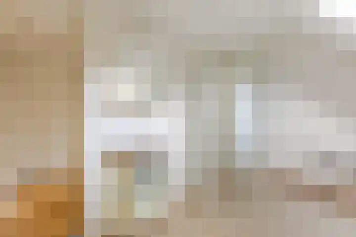 de Korenaar 77 Oirschot thumbnail 21