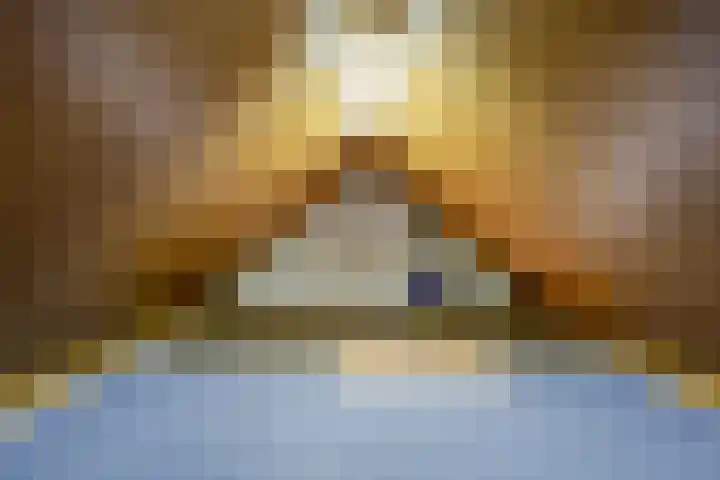 de Korenaar 77 Oirschot thumbnail 22