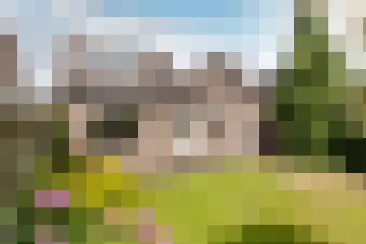 de Korenaar 77 Oirschot thumbnail 23