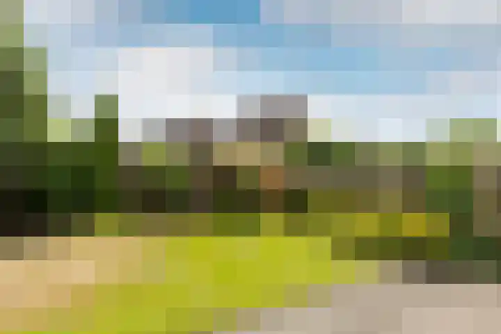 de Korenaar 77 Oirschot thumbnail 24