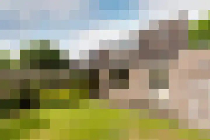 de Korenaar 77 Oirschot thumbnail 25
