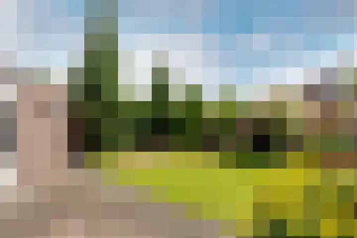 de Korenaar 77 Oirschot thumbnail 26