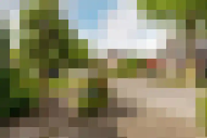 de Korenaar 77 Oirschot thumbnail 29