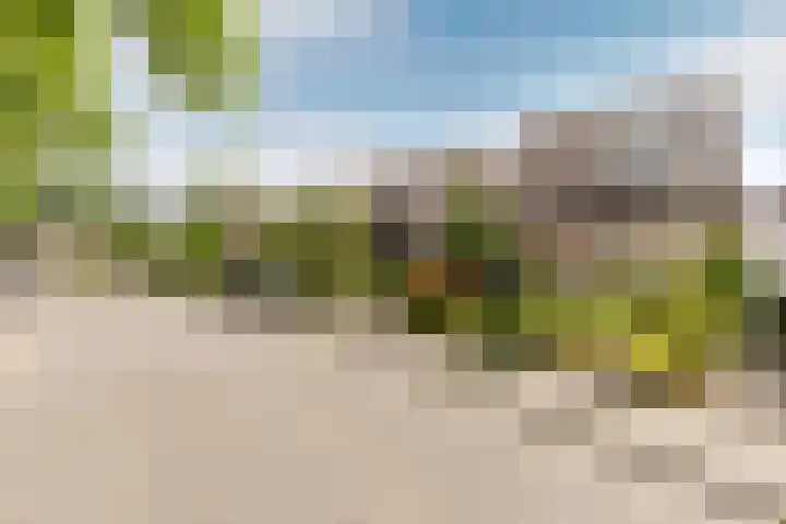 de Korenaar 77 Oirschot thumbnail 30