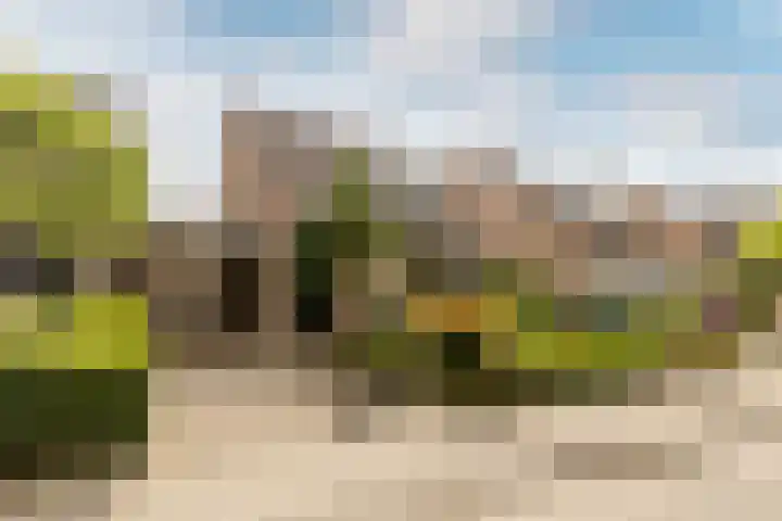 de Korenaar 77 Oirschot thumbnail 34