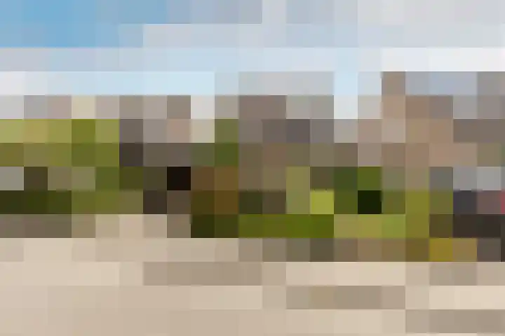 de Korenaar 77 Oirschot thumbnail 4