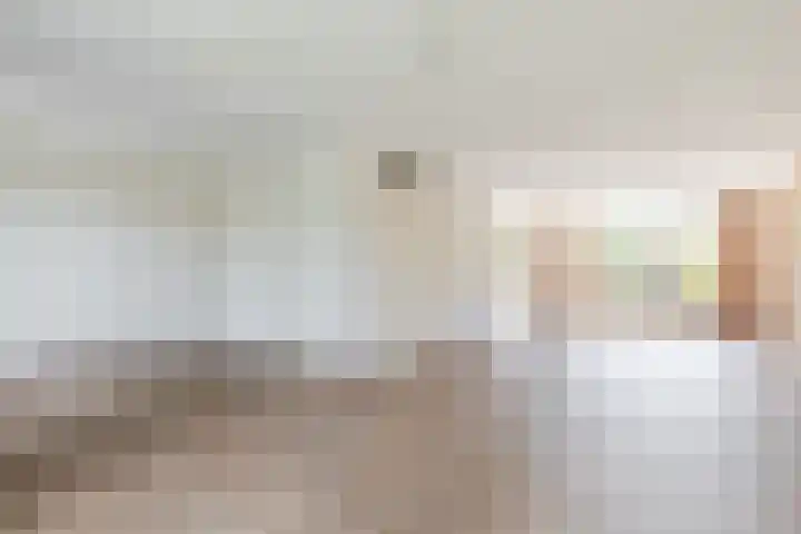 de Korenaar 77 Oirschot thumbnail 7