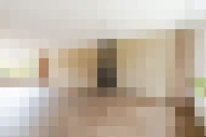 de Korenaar 77 Oirschot thumbnail 8