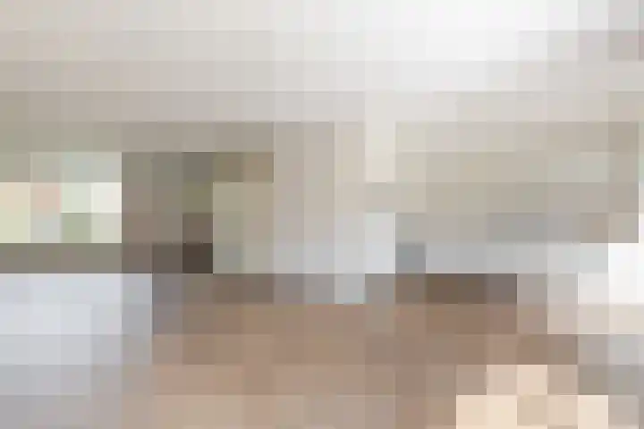 de Korenaar 77 Oirschot thumbnail 9