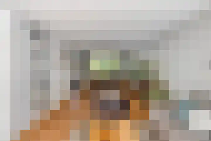 de Korenaar 81 Oirschot thumbnail 10
