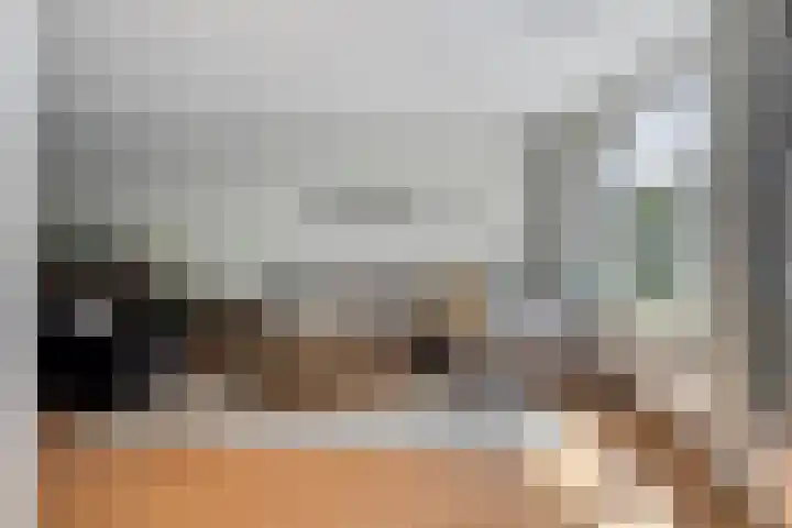 de Korenaar 81 Oirschot thumbnail 12