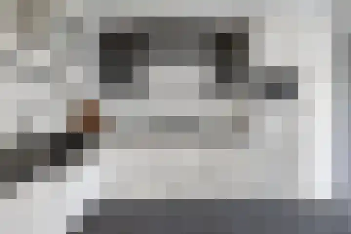 de Korenaar 81 Oirschot thumbnail 17